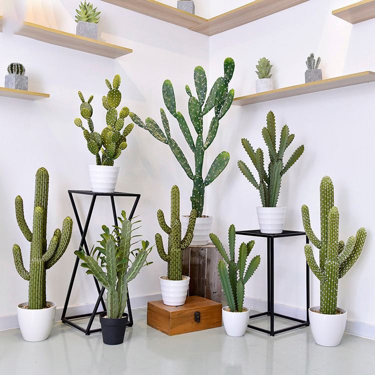 Potted-Bonsai-Home-for-Living-Room-Decoration-Tropical-Desert-Artificial-Cactus-Potted-Greenery (1).jpg 